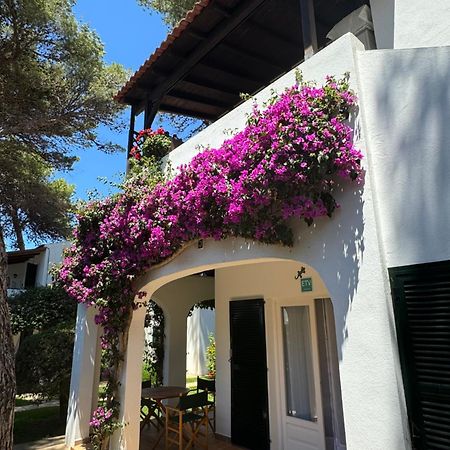 Apartment With Garden And Swimming And Beach Cala Blanca  Exterior photo