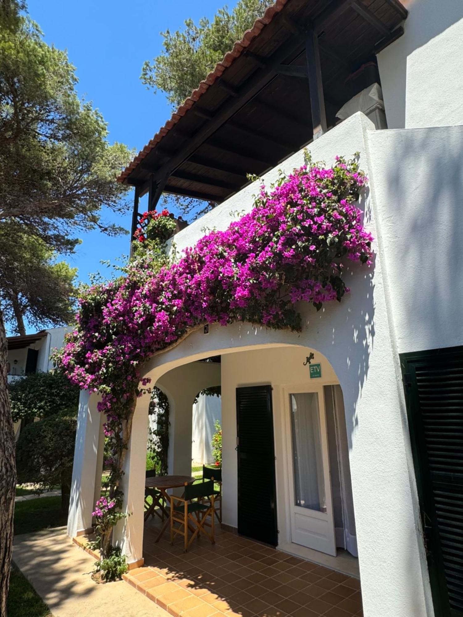 Apartment With Garden And Swimming And Beach Cala Blanca  Exterior photo